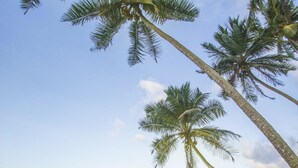 A beach with palm trees and ocean waves. - The Frangipani Tree By Edwards Collection (Unawatuna)