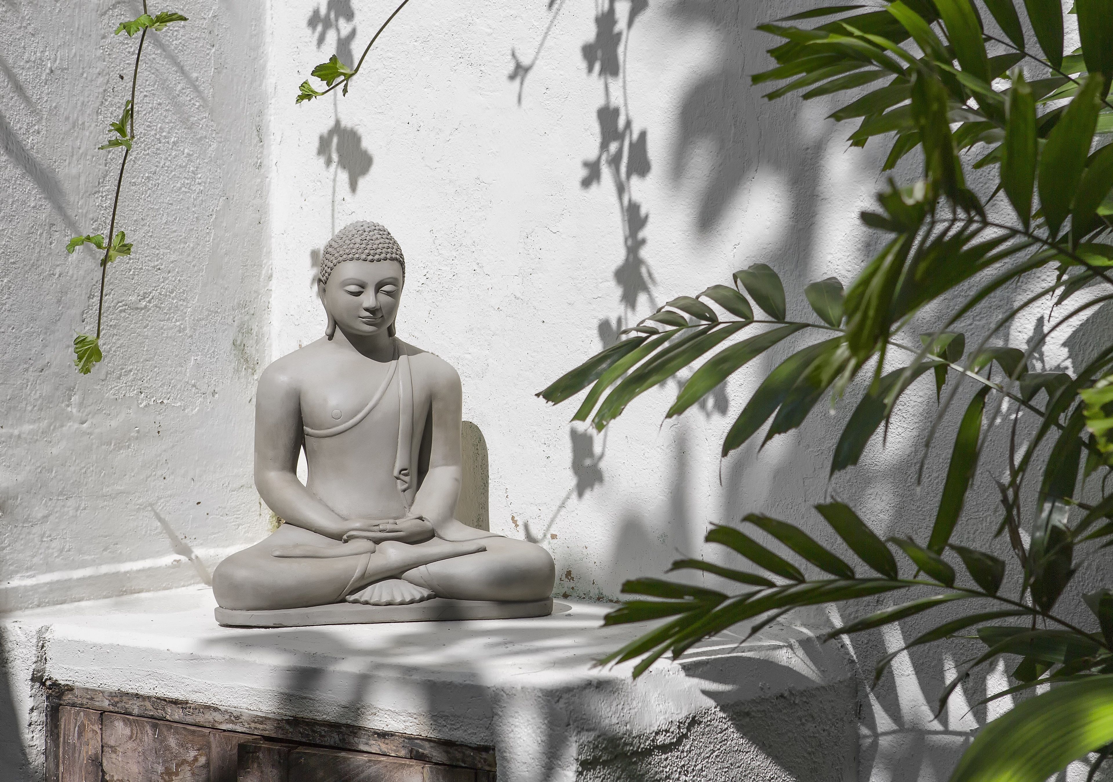 Eine sitzende Statue in meditativer Pose, vor einer schlichten Wand mit Schatten, die von nahgelegener Vegetation geworfen werden.