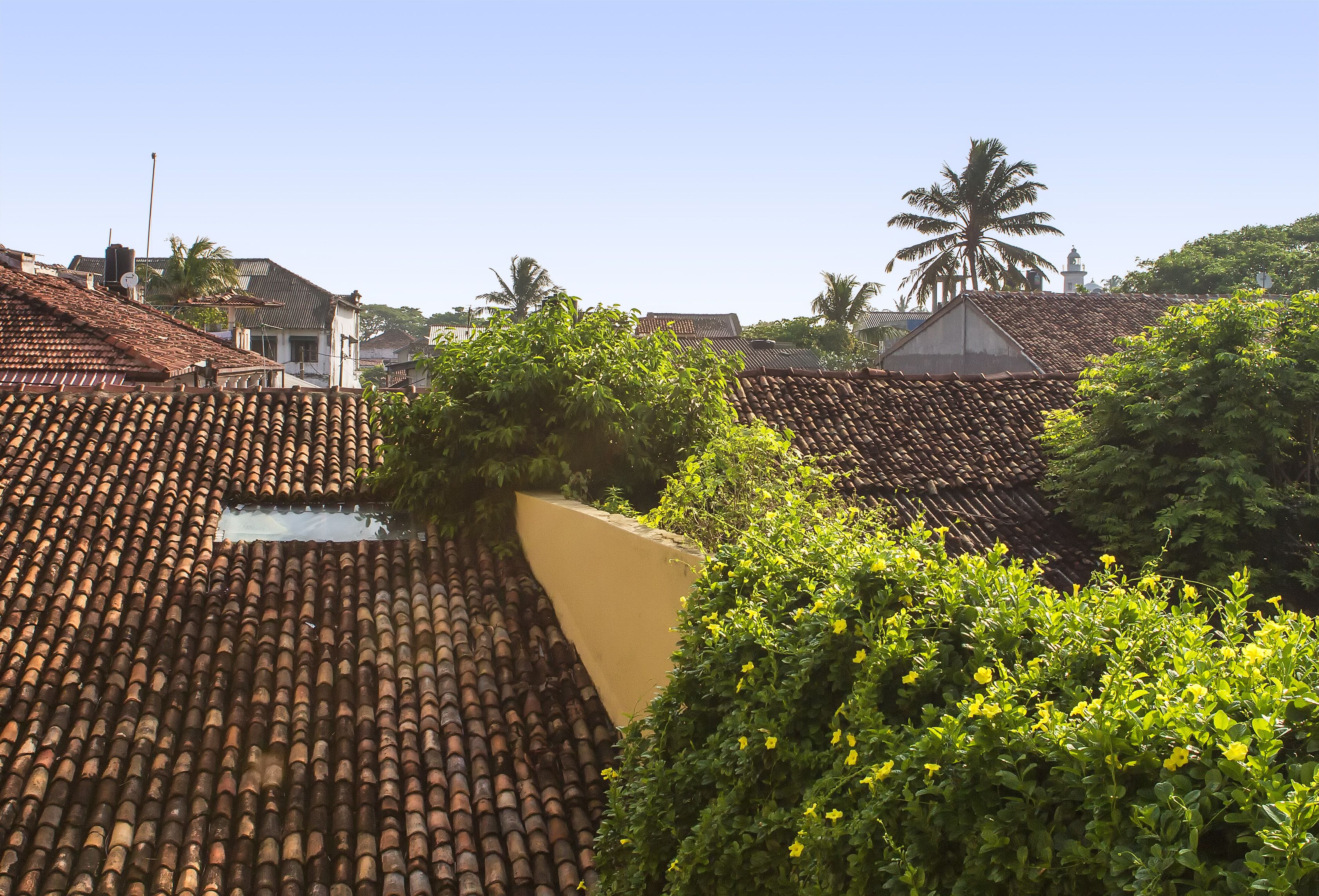 A residential area with terracotta-tiled roofs, a water tank, and lush greenery.