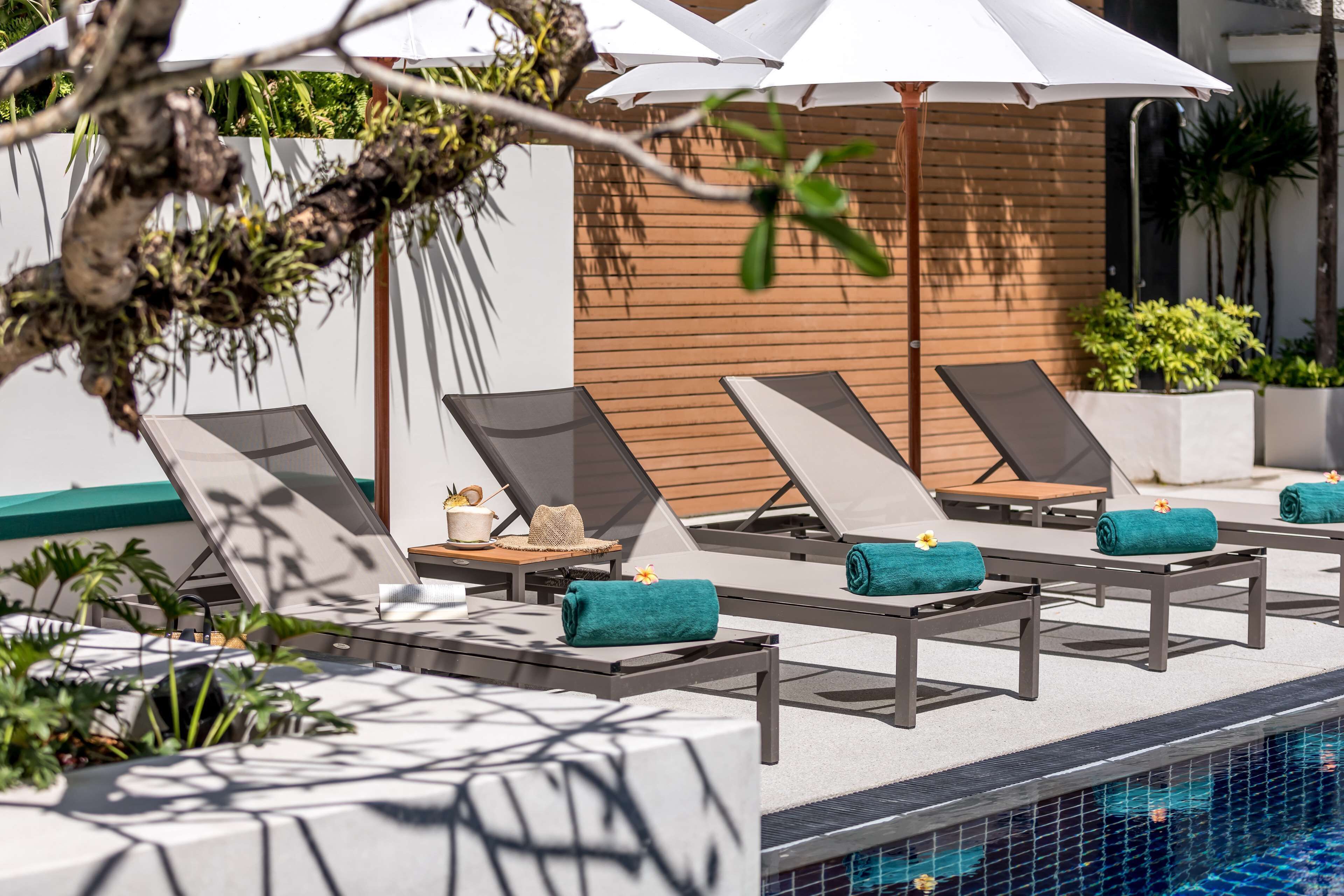 2 piscinas al aire libre, sillones reclinables de piscina