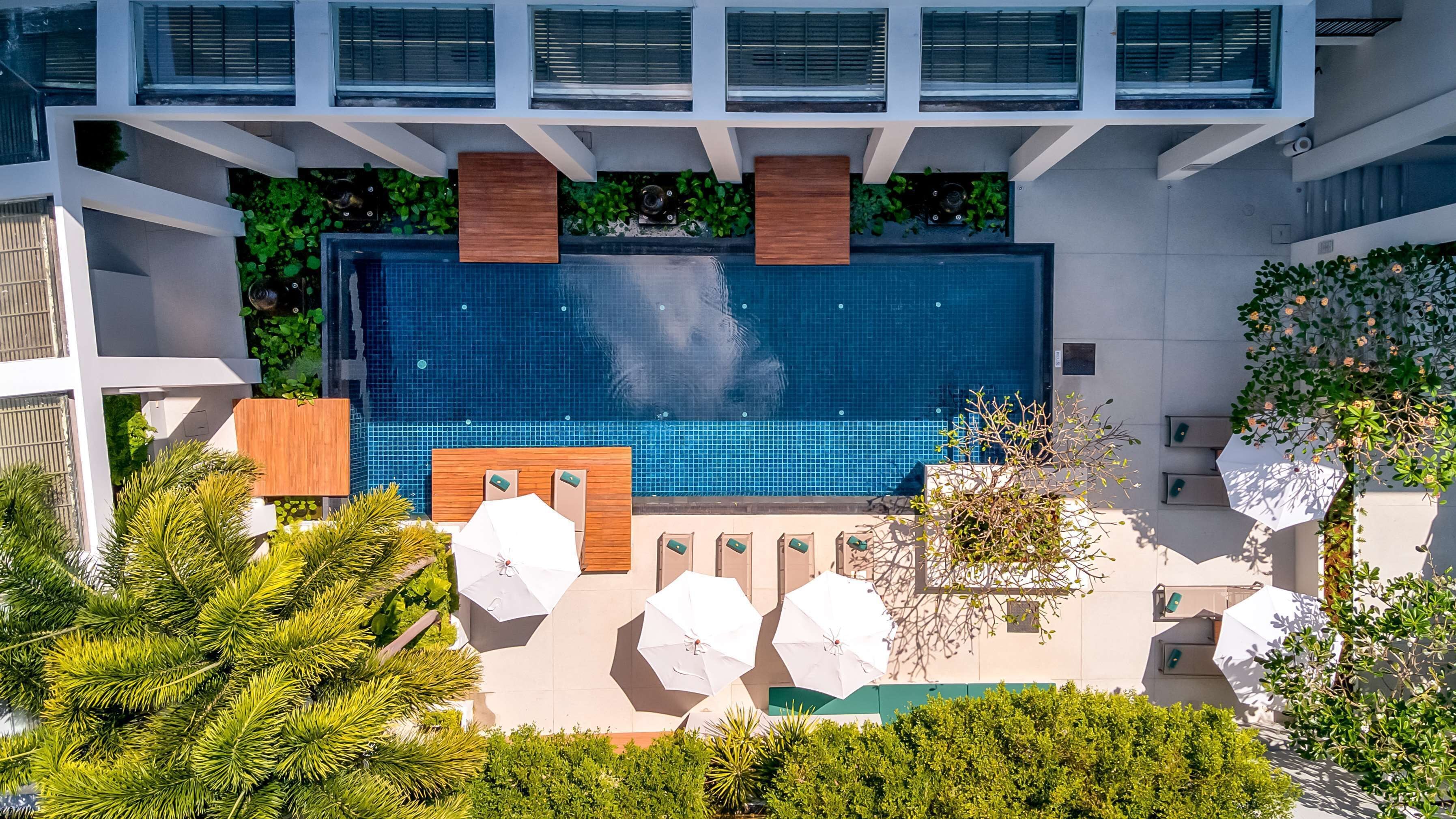 A rooftop pool with a blue tiled floor, surrounded by greenery and white umbrellas.