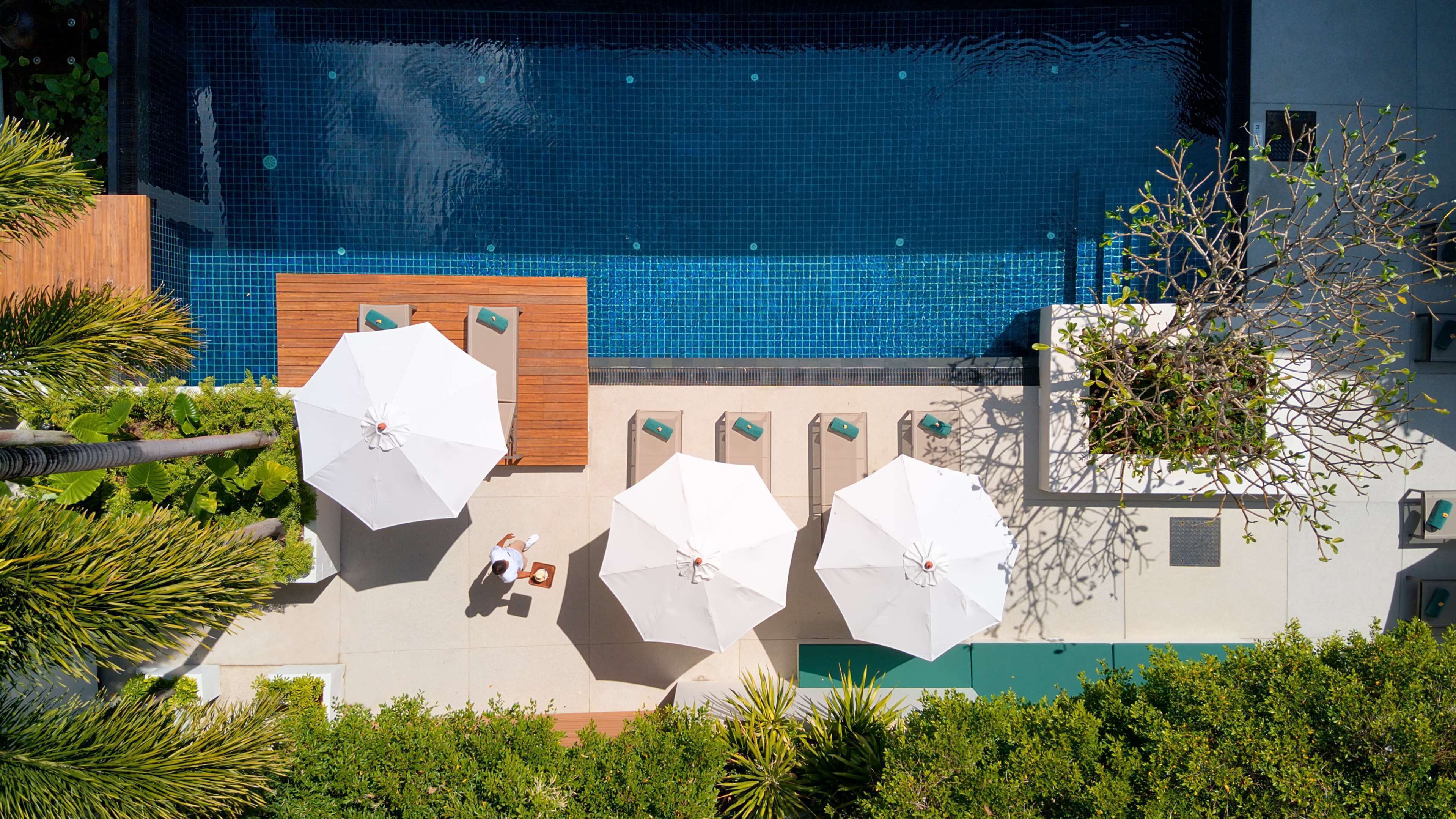 Zona de piscina en la azotea con múltiples sombrillas, sillones de descanso y vistas a la piscina.