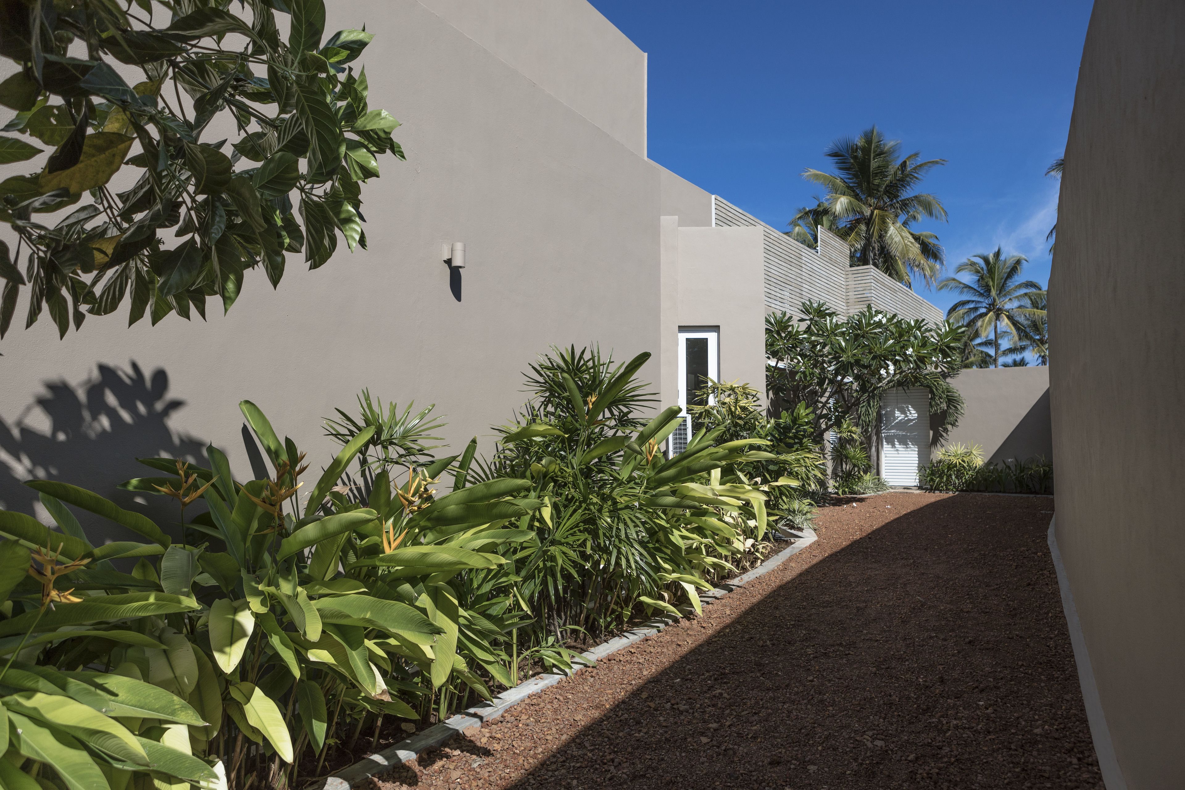 Un edificio moderno con techo plano, un camino de acceso estrecho y una variedad de plantas tropicales.