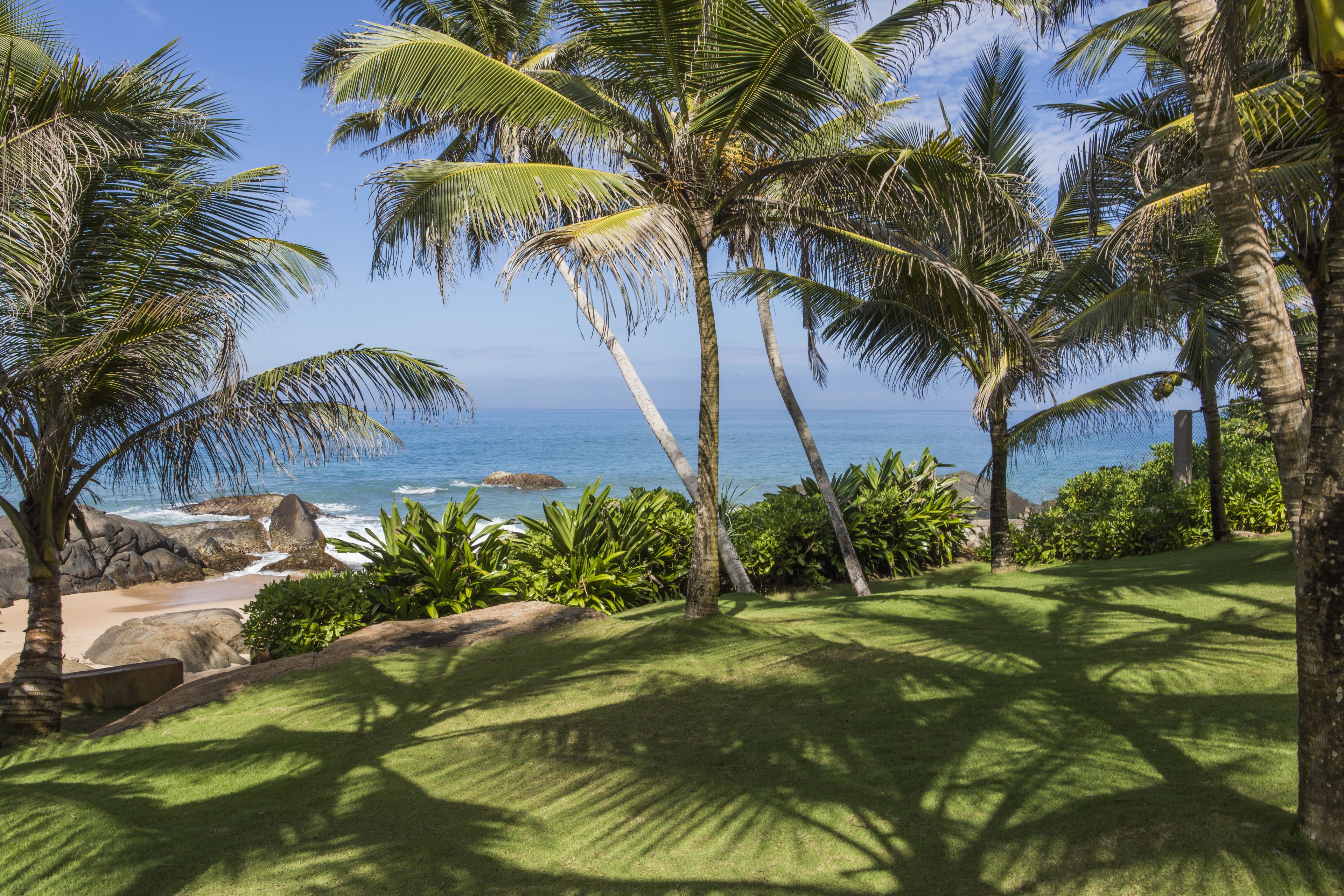 Paisagem tropical com palmeiras, uma praia e o oceano.