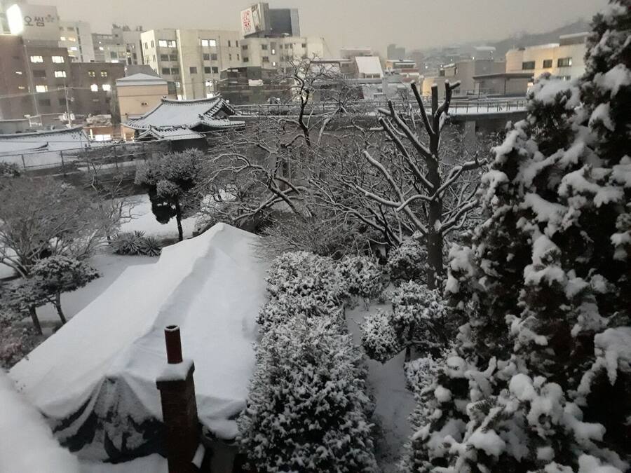 Un edificio tradicional japonés con tejado nevado y árboles circundantes.