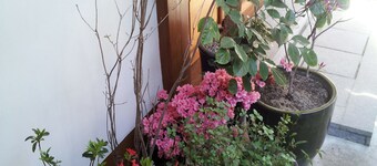 Han Guesthouse