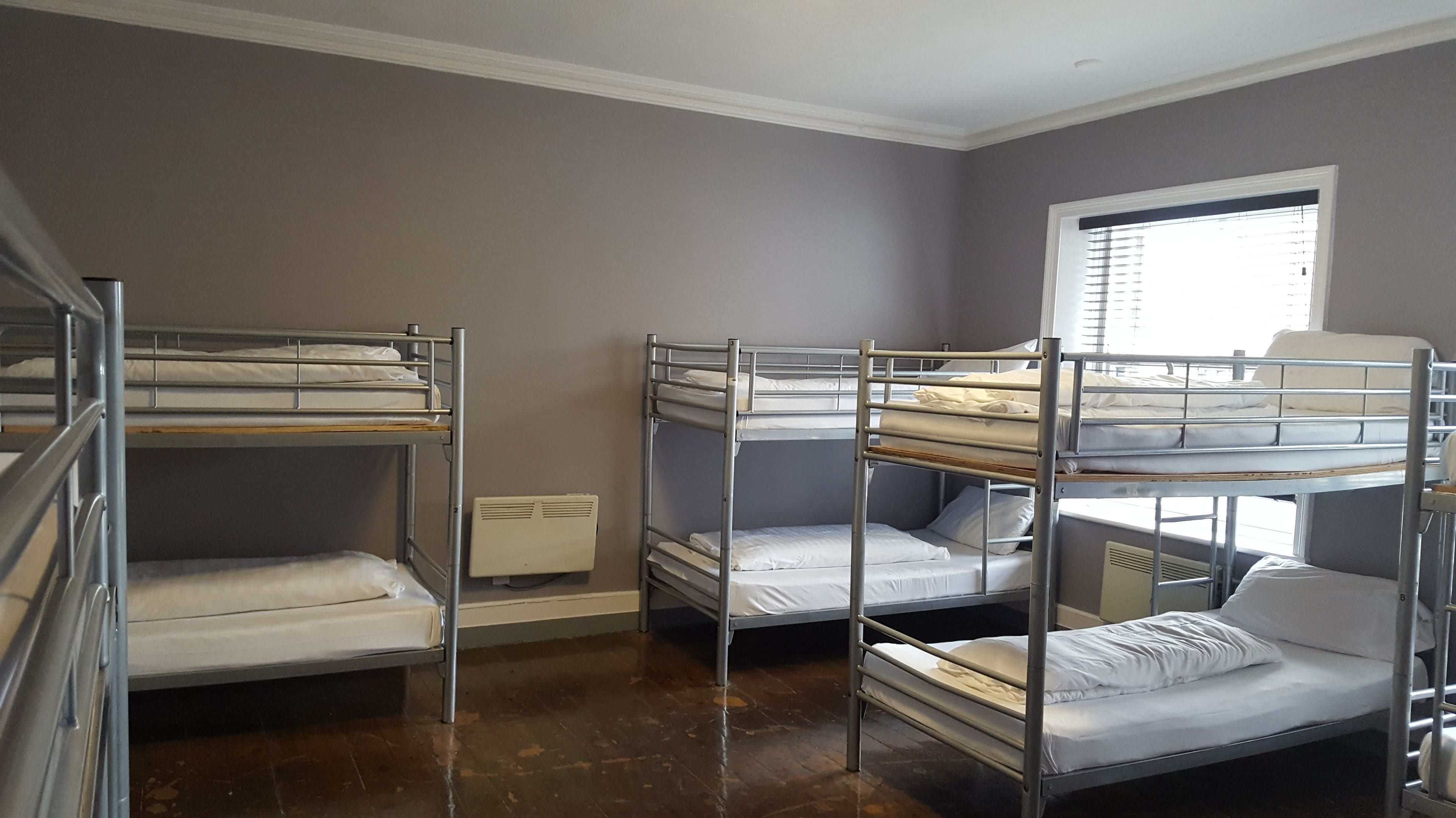 Photo - Albatross Hostel