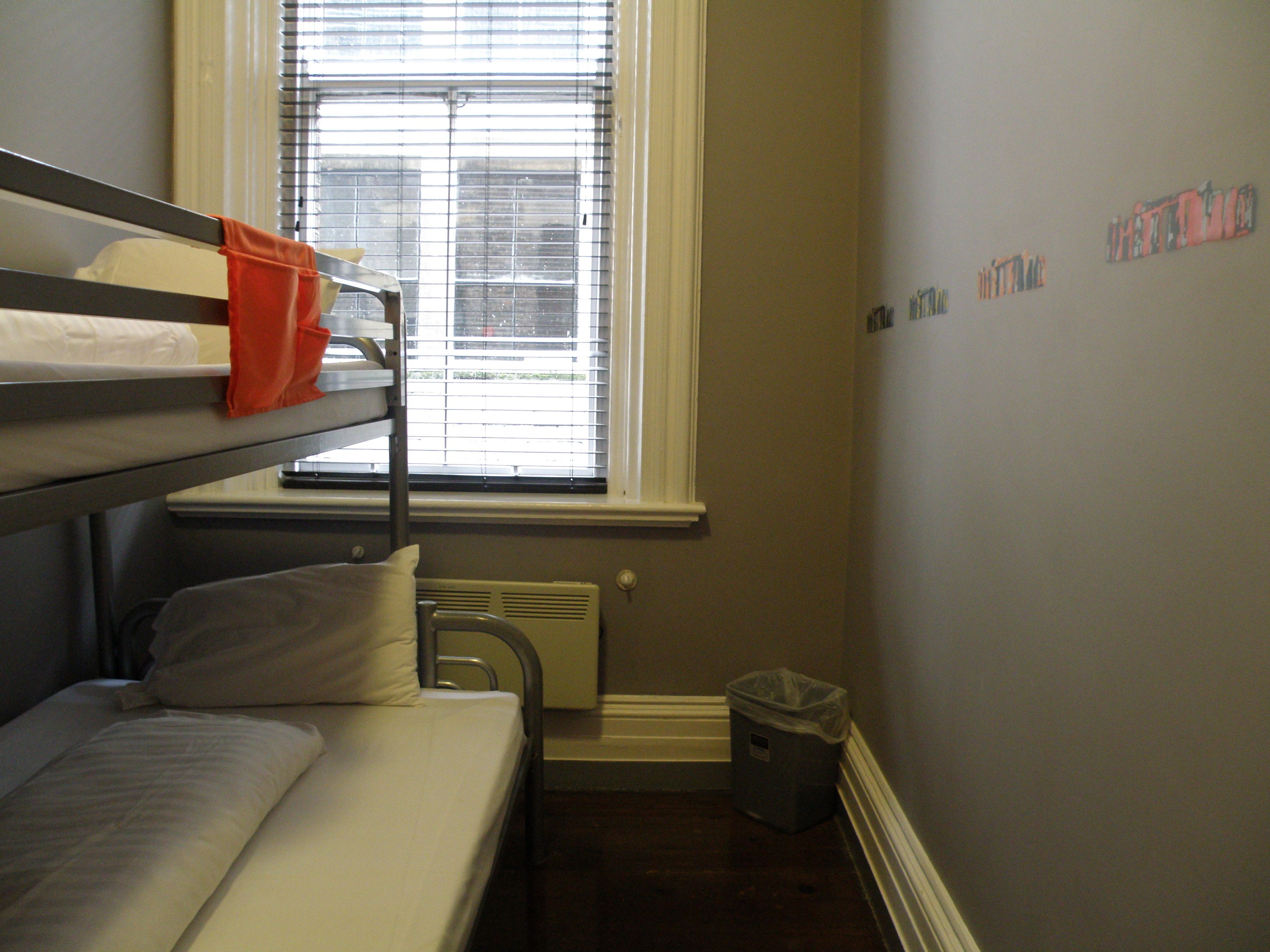 Photo - Albatross Hostel