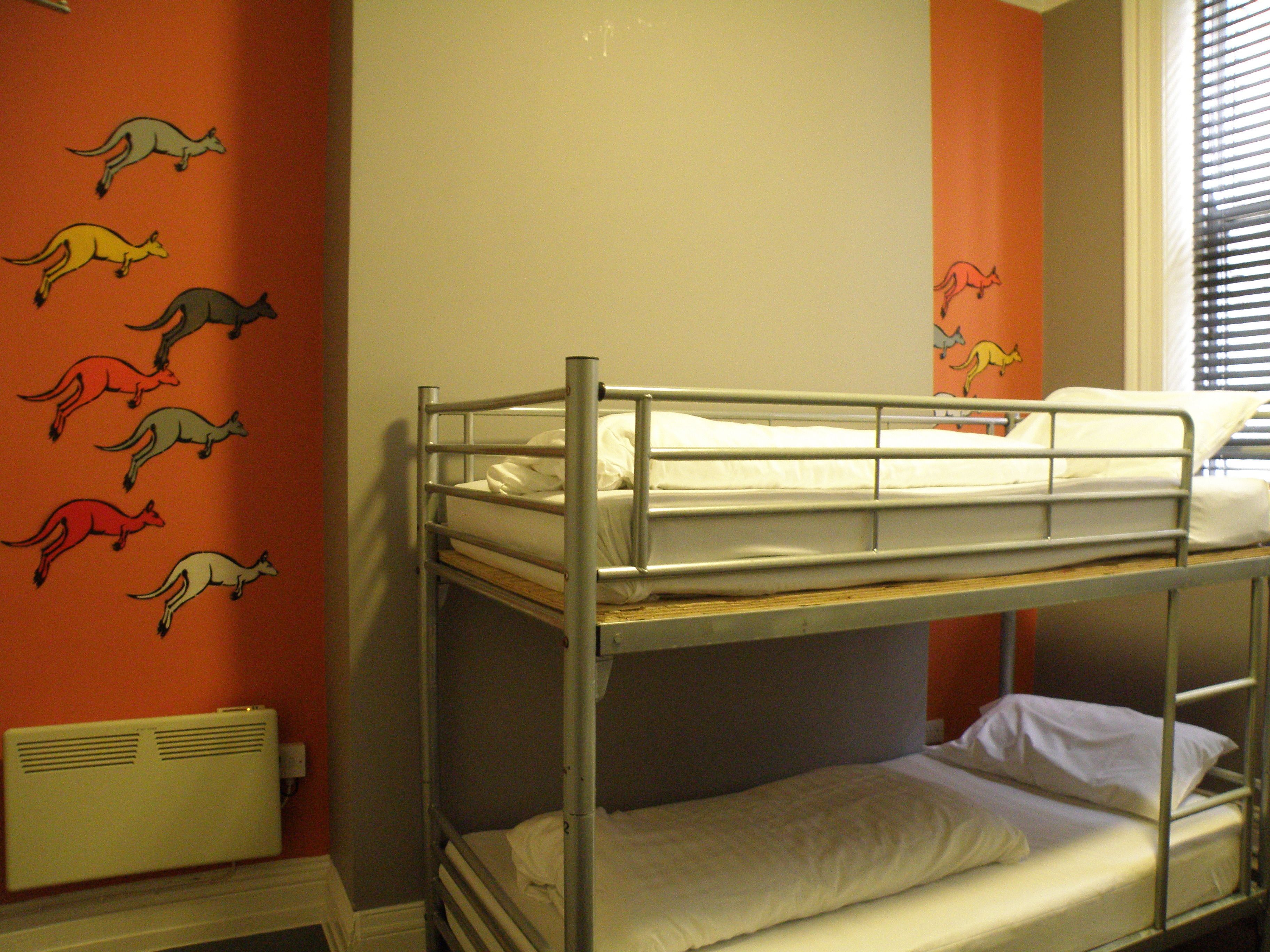 Photo - Albatross Hostel