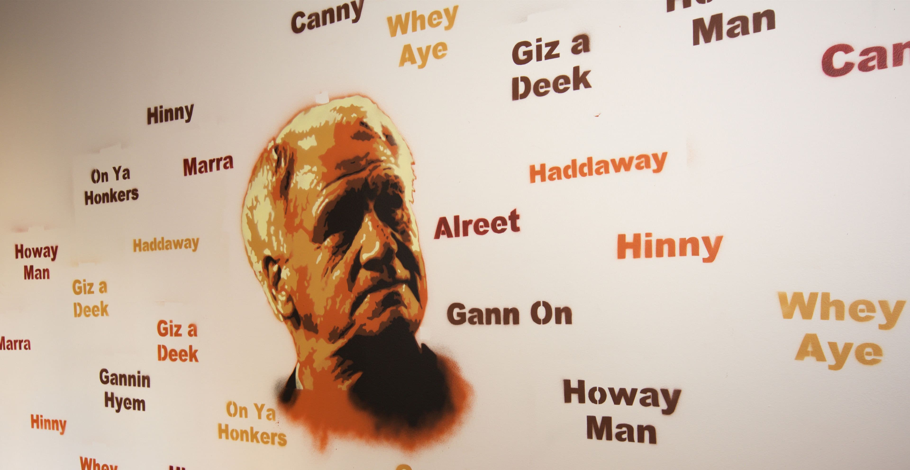 Photo - Albatross Hostel