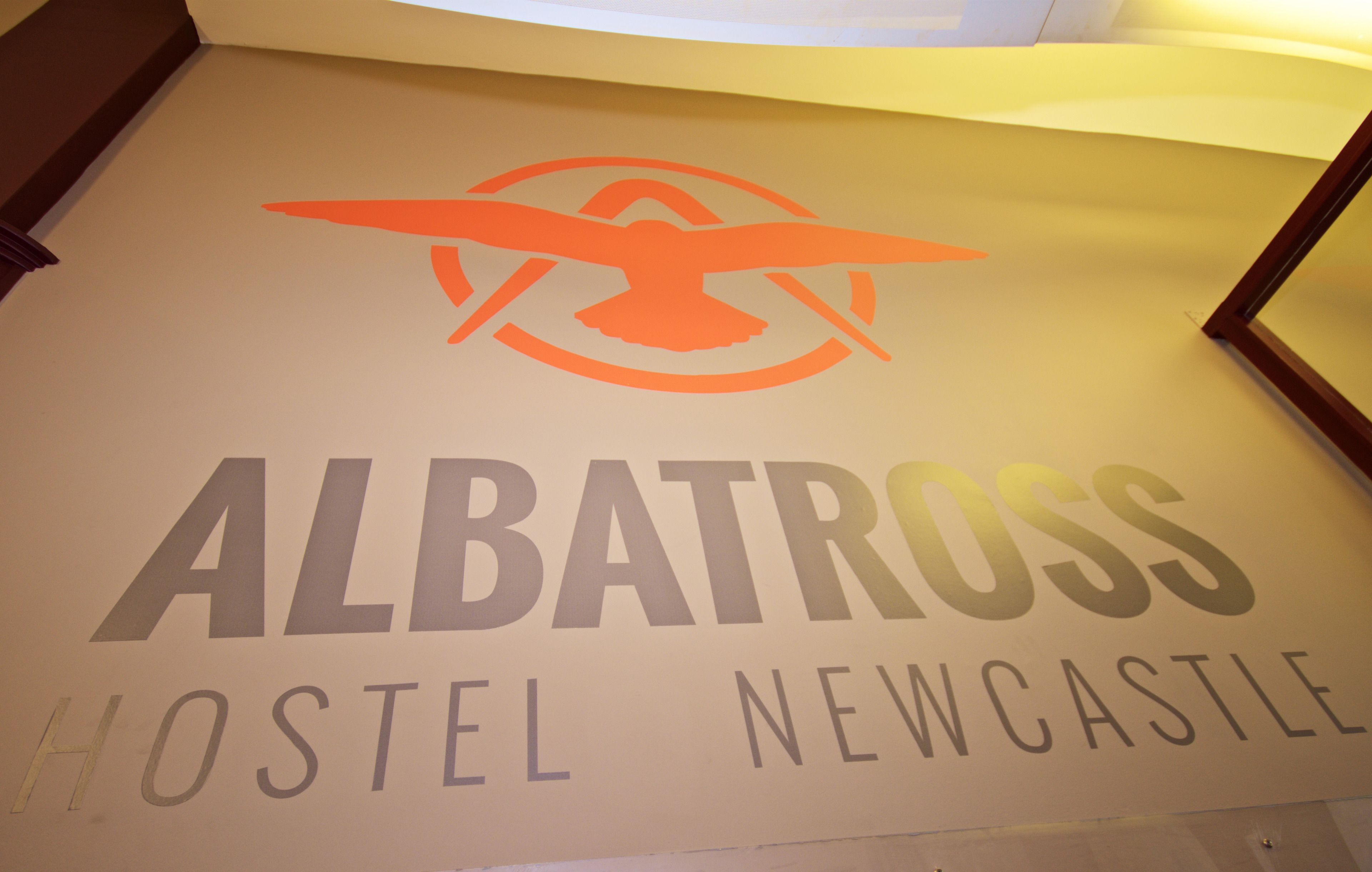 Photo - Albatross Hostel