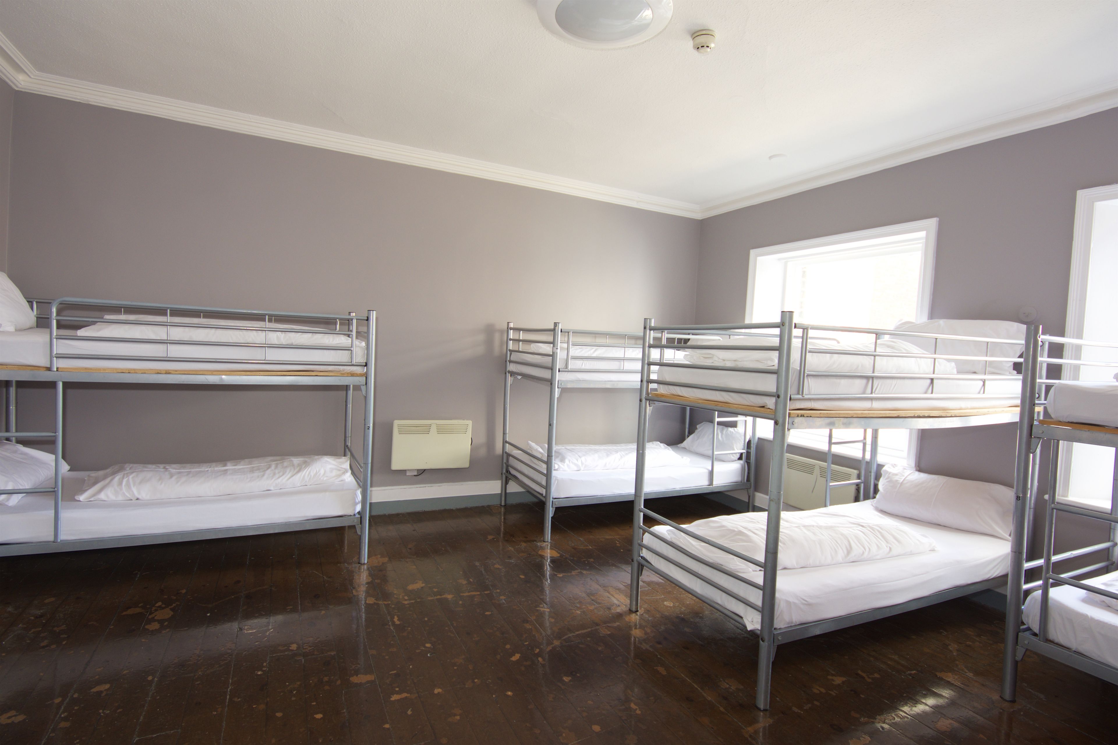 Photo - Albatross Hostel