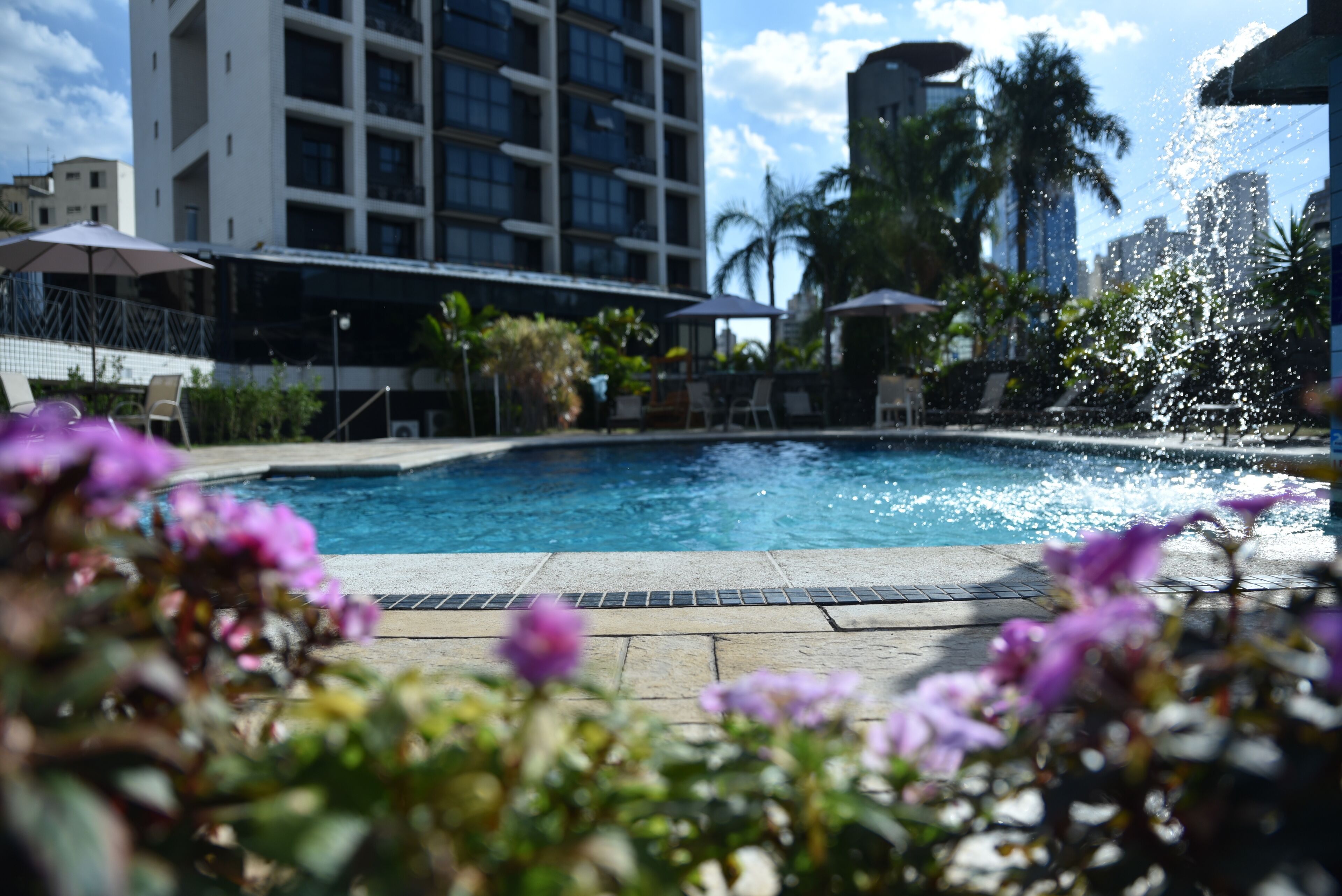 Foto - Plaza Inn Small Town Flat