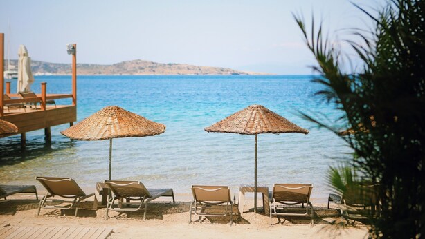 A beach with lounge chairs and thatched umbrellas, overlooking a calm sea and distant hills.