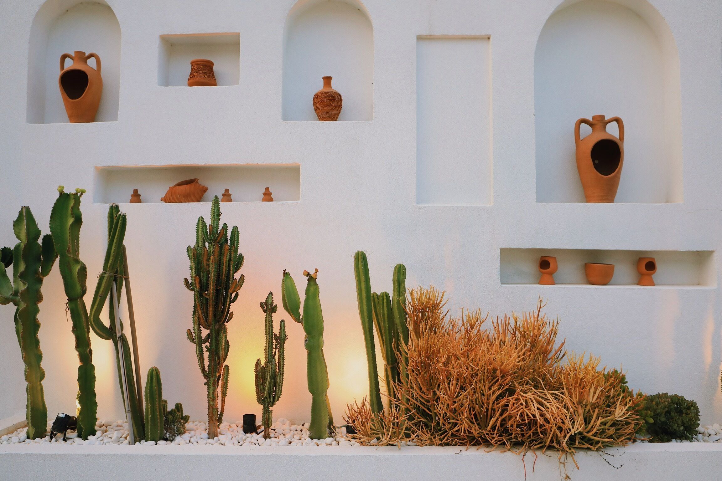 Una pared blanca con varios nichos que albergan macetas de terracota y cactus.