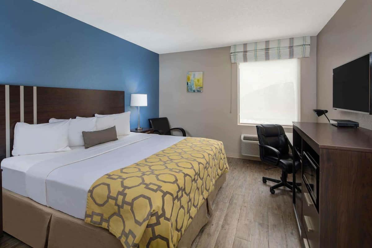 A hotel room with a bed, a desk, a chair, a television, and a window with blinds.