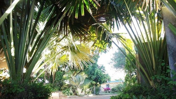 Property amenity - Talipot Lodge (Grand Gaube)