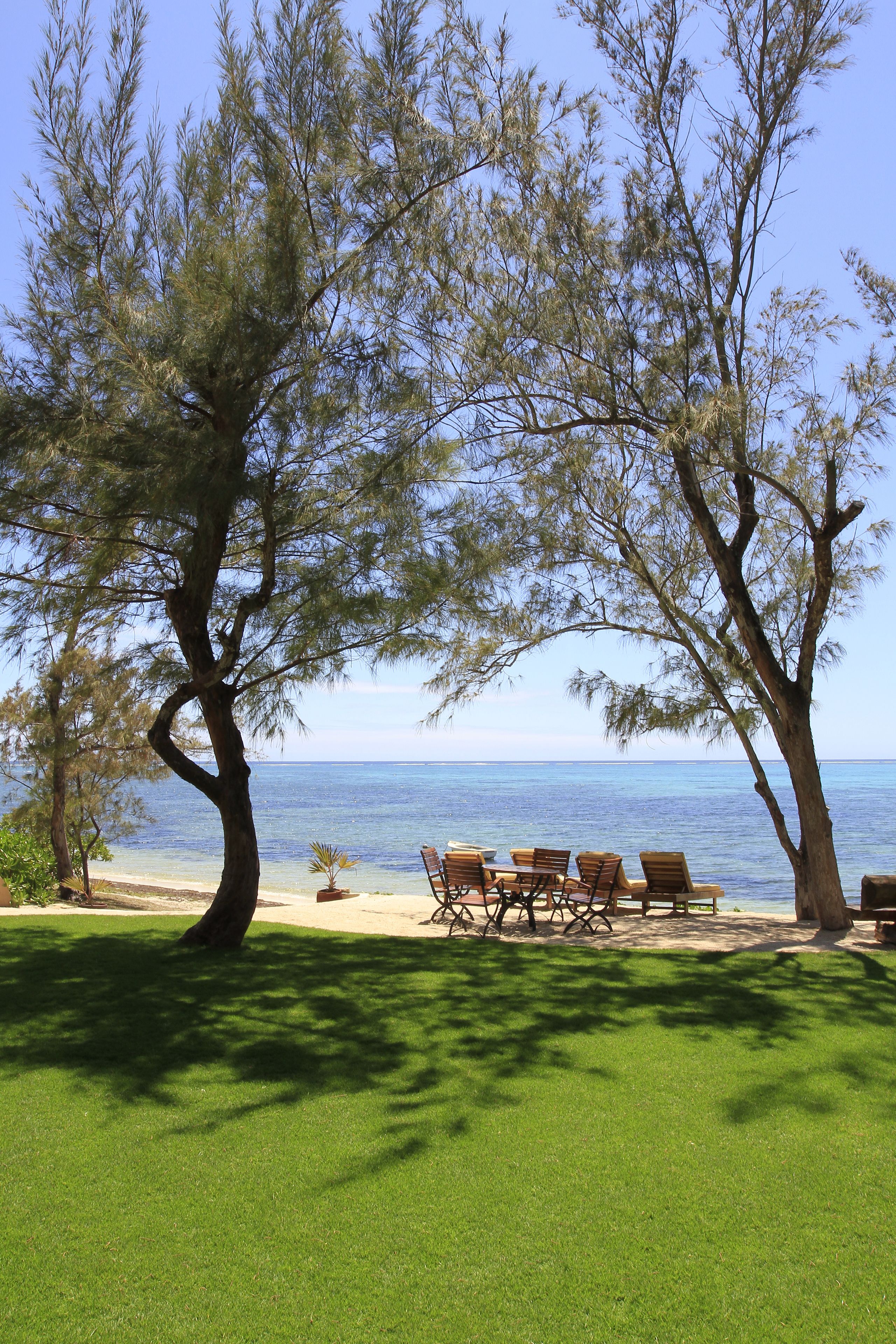 A beachside area with a row of wooden chairs and tables under large trees, overlooking the sea.