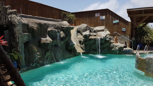 Een zwembad met een waterval, omgeven door houten wanden en plantenpotten.