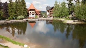 Pemandangan dari udara