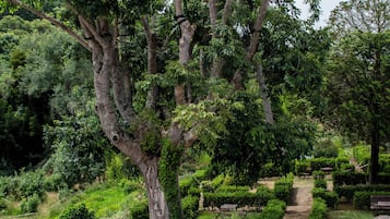 Family Quadruple Room, 1 Bedroom, Balcony | Free WiFi, bed sheets