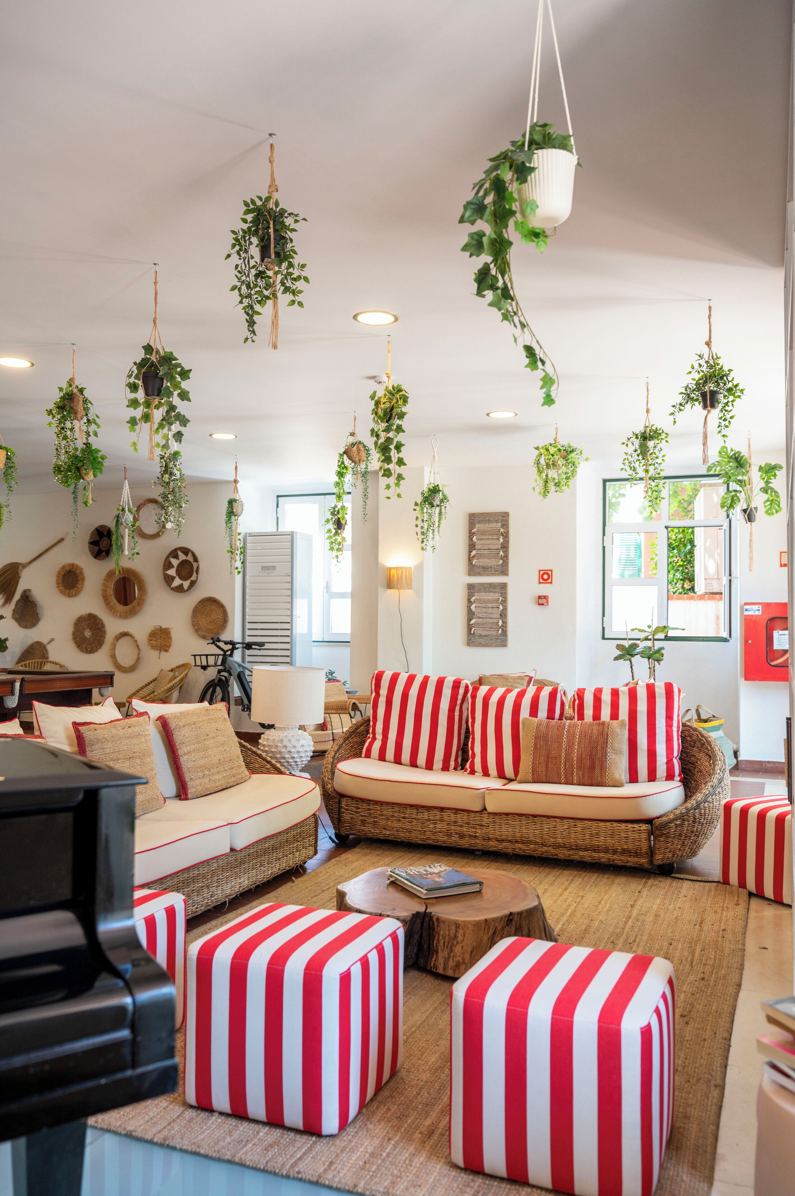 A living room with a sofa, ottomans, hanging plants, and a bicycle.