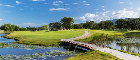 A golf course with a bridge over a pond, surrounded by lush greenery and trees.