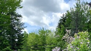 Un patio al aire libre con sillas Adirondack verdes, un hogar para fuego de piedra y una maceta grande con flores.
