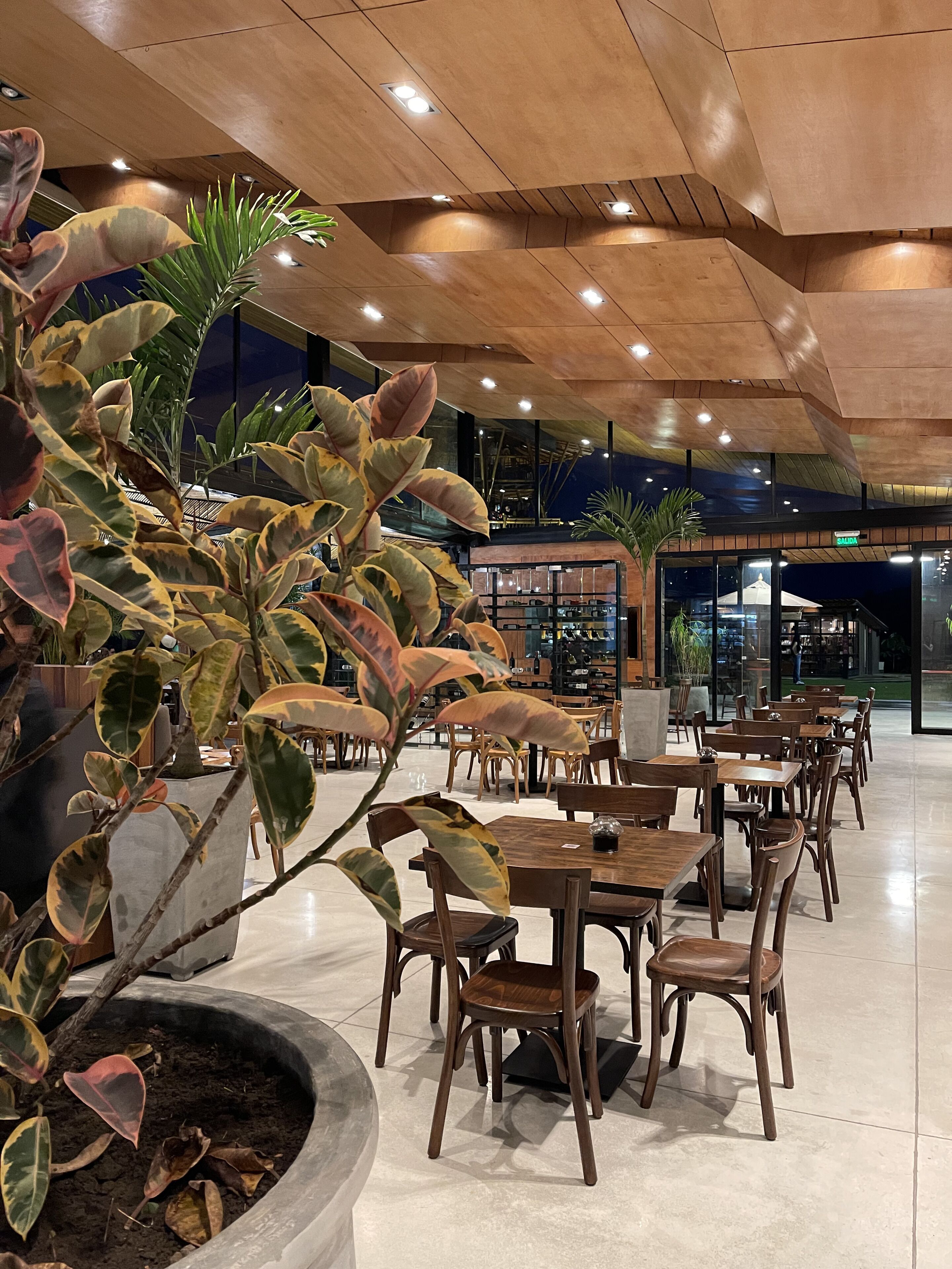 Un espacio interior amplio con mesas y sillas de madera, una planta grande en maceta e iluminación empotrada en el techo.