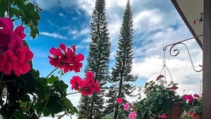 Un patio de hotel con un camino de piedra, plantas en macetas y una barandilla de madera.