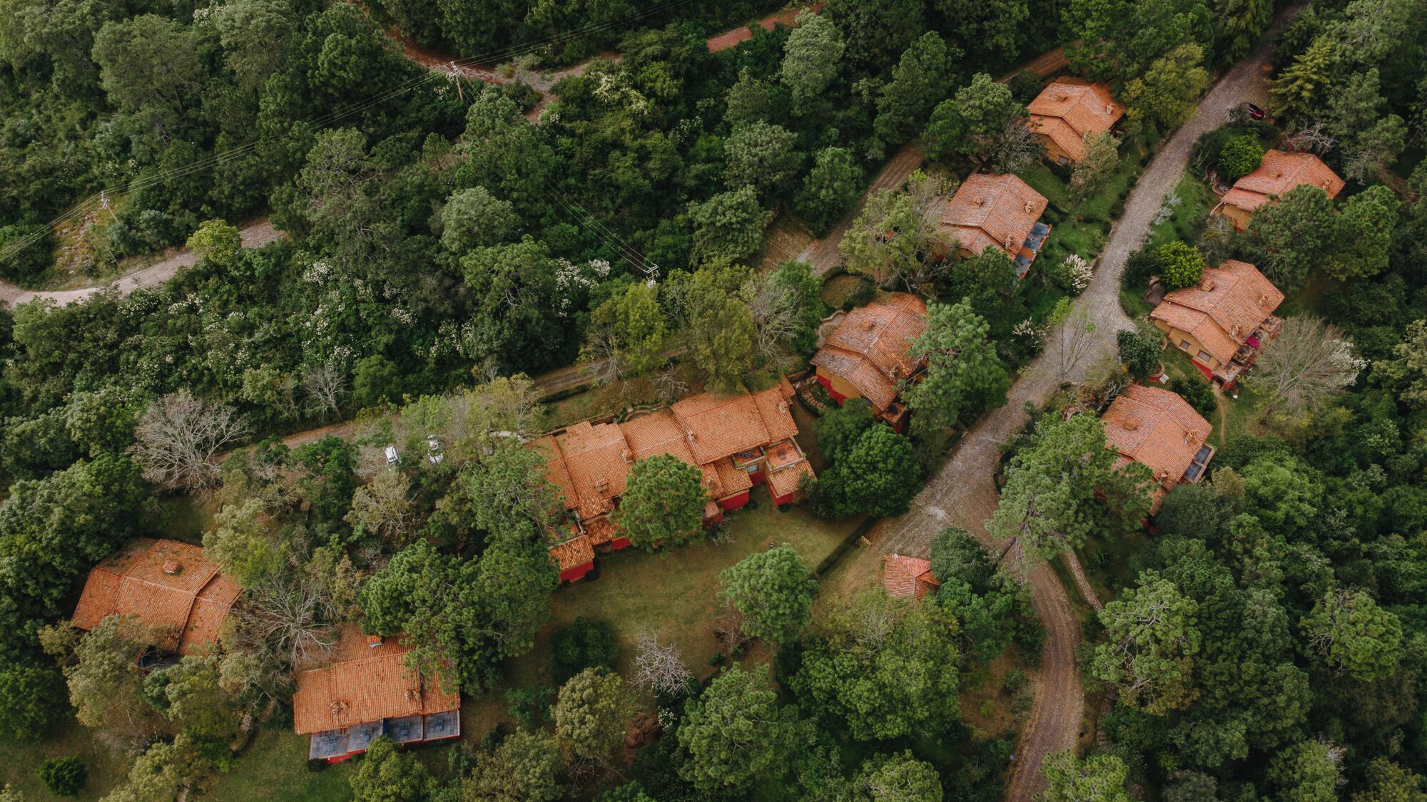 An aerial view of a residential area with multiple houses, surrounded by dense greenery and a dirt road.