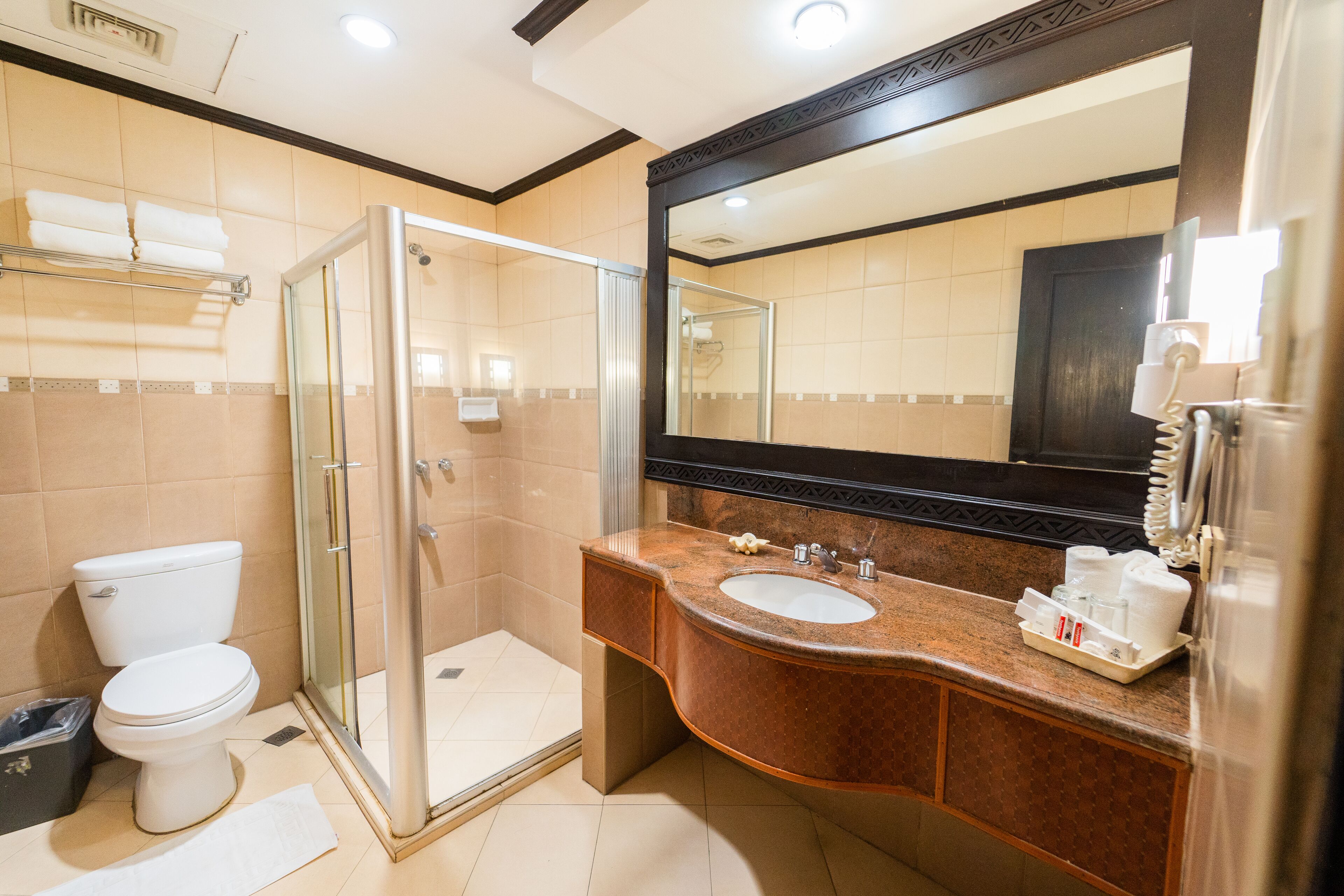 Une salle de bain avec une douche à parois de verre, des toilettes blanches et un lavabo en marbre agrémenté d’un grand miroir.