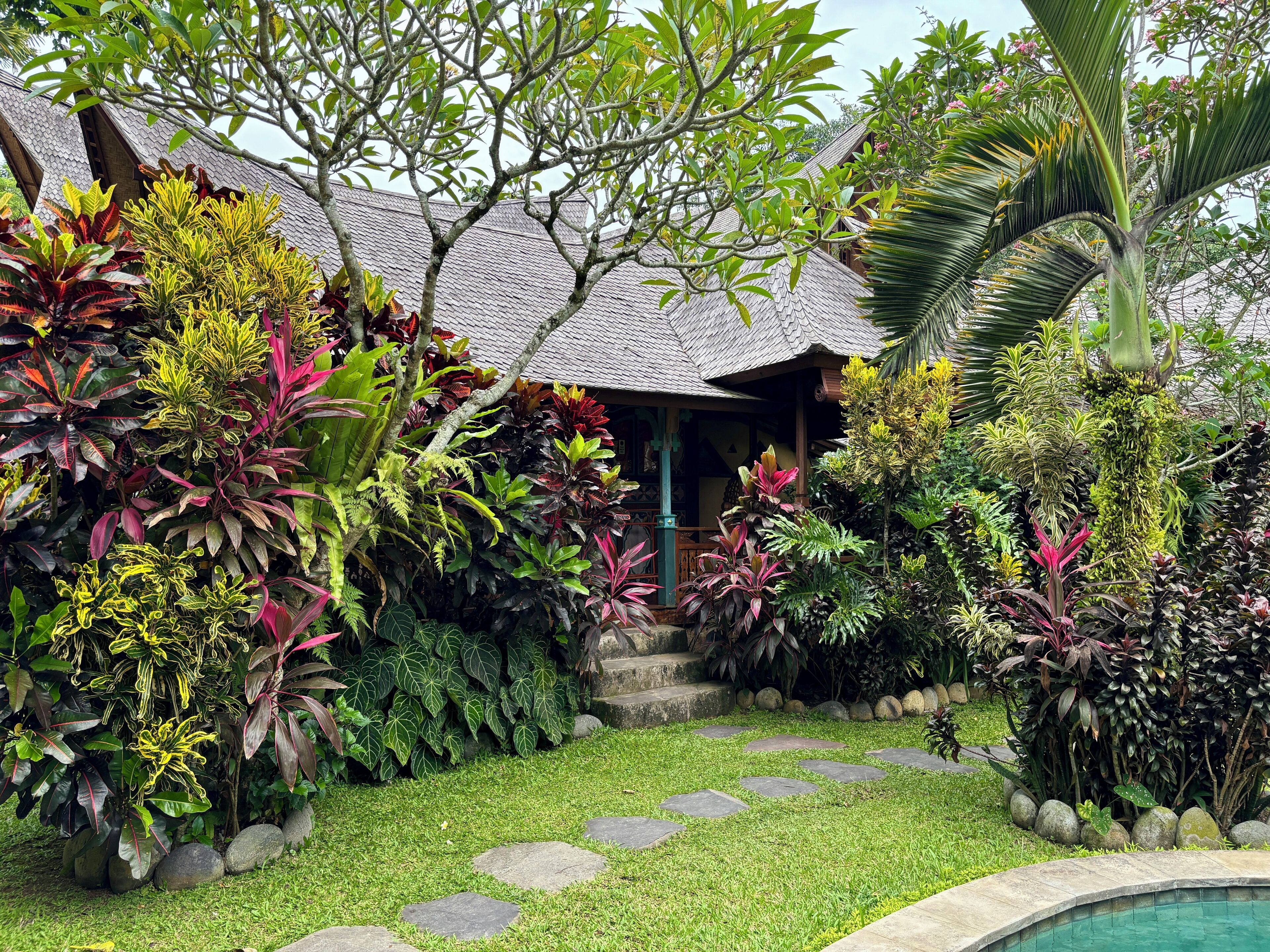 Taman