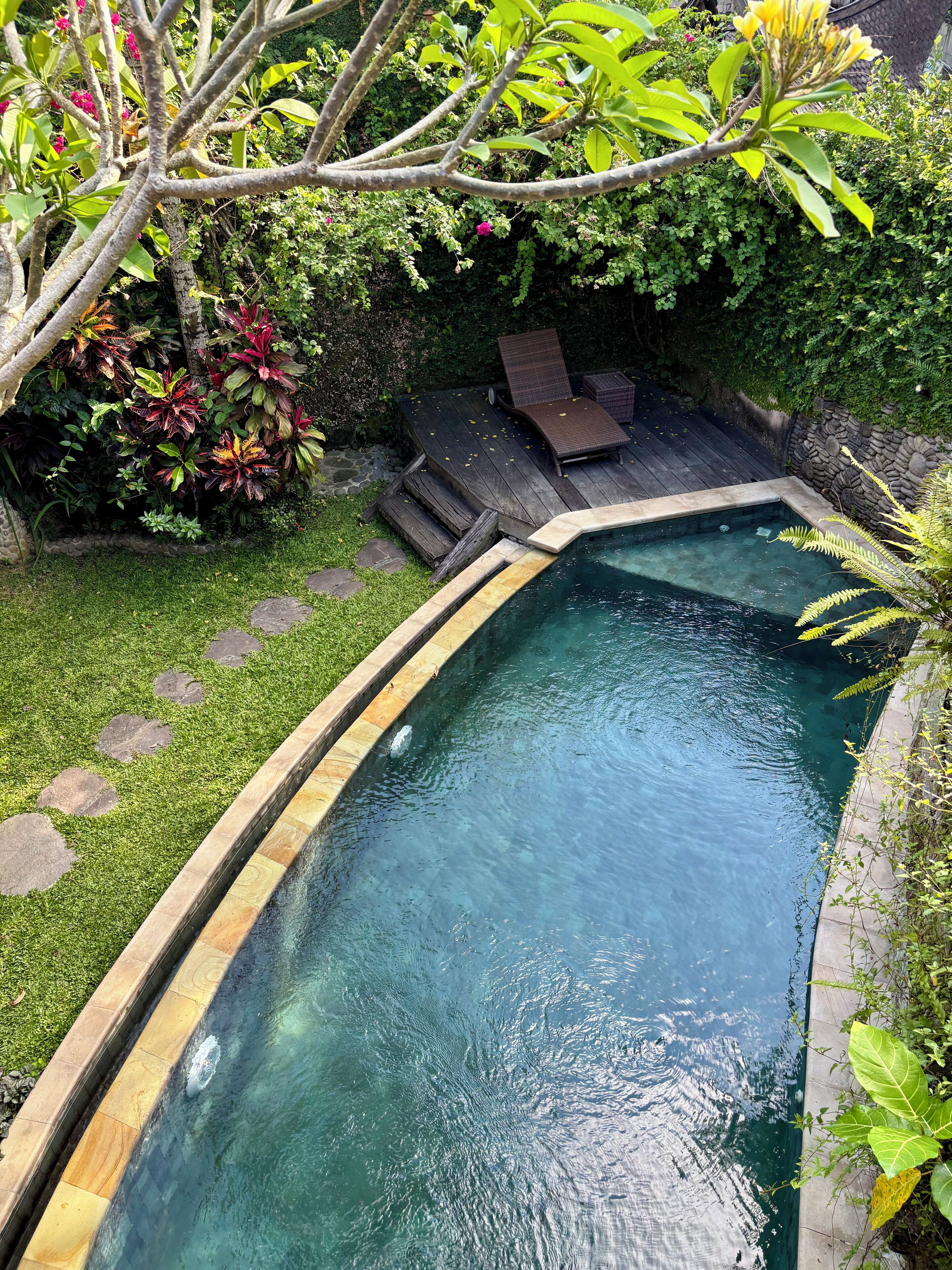 Ein rechteckiger Pool mit klarem Wasser, umgeben von einer Steinbordsteinkante und einer Rasenfläche mit trittfesten Steinen.
