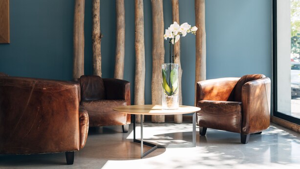 A modern living room with leather sofas, a glass coffee table, and a vase with white flowers. - Le Saint Pierre Hotel (Saint-Pierre)