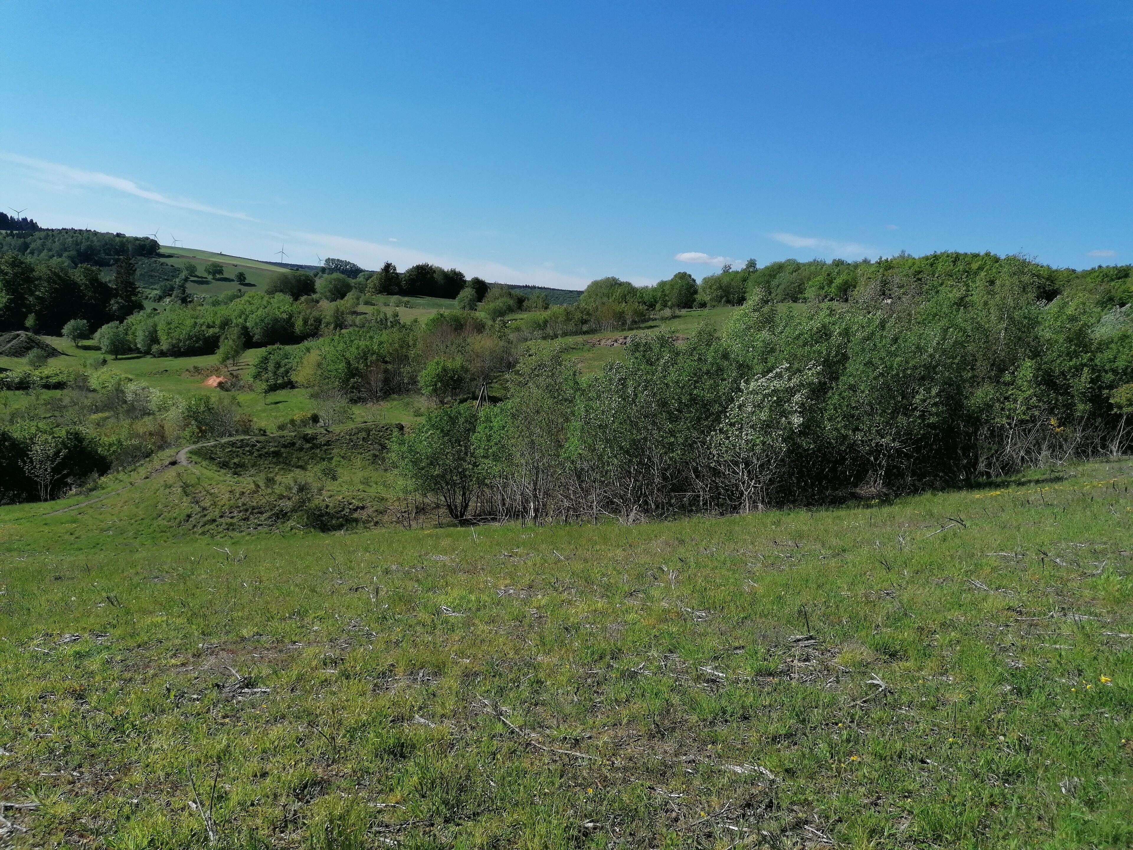 Un campo cubierto de hierba con árboles y aerogeneradores al fondo.