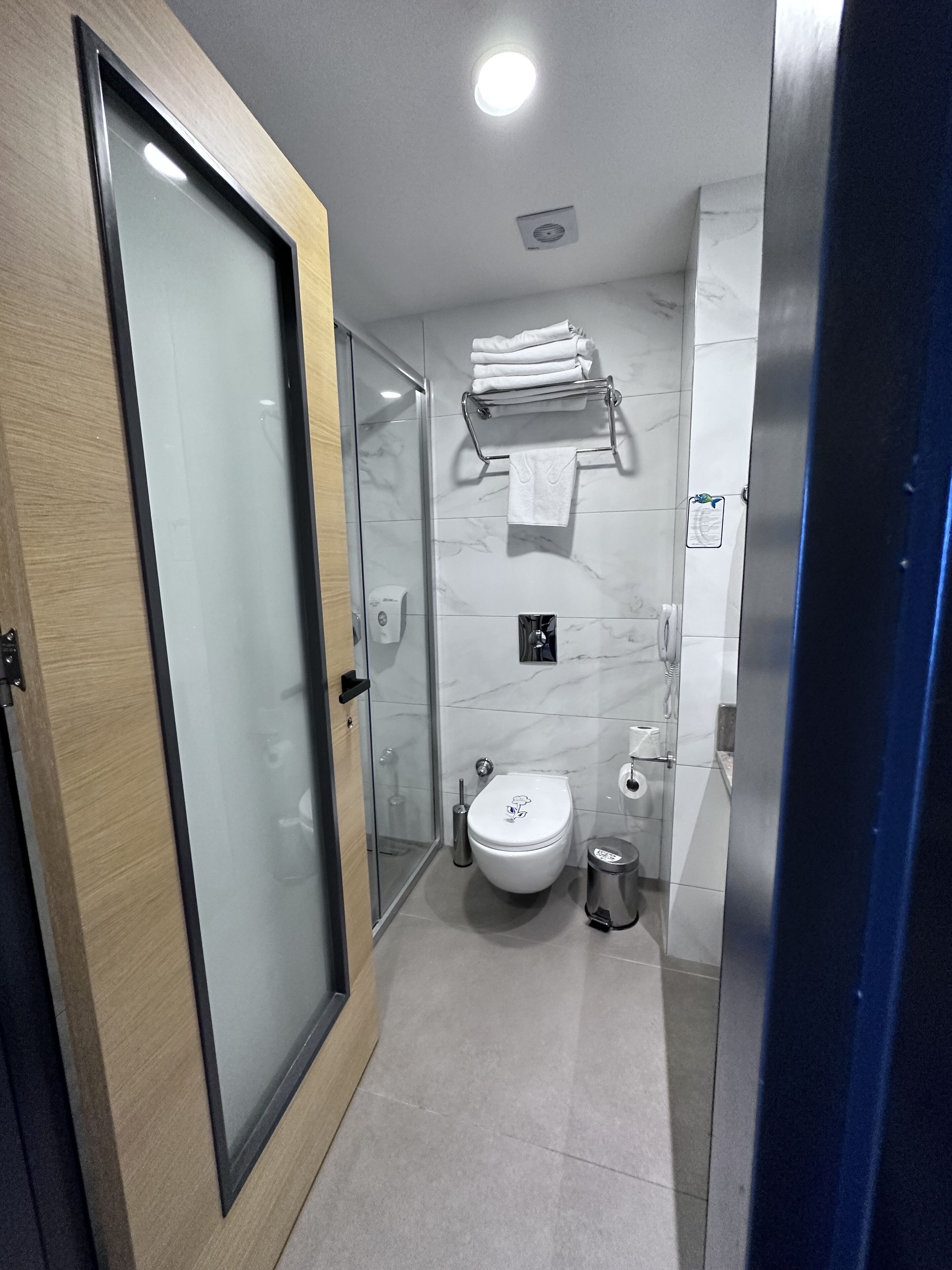A modern bathroom with a glass shower enclosure, a toilet, a trash bin, and a towel rack.