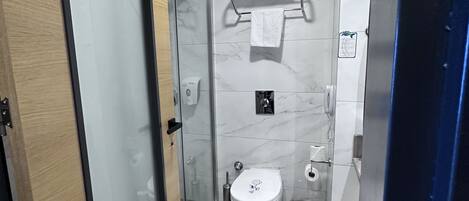 A modern bathroom with a glass shower enclosure, a toilet, a trash bin, and a towel rack.
