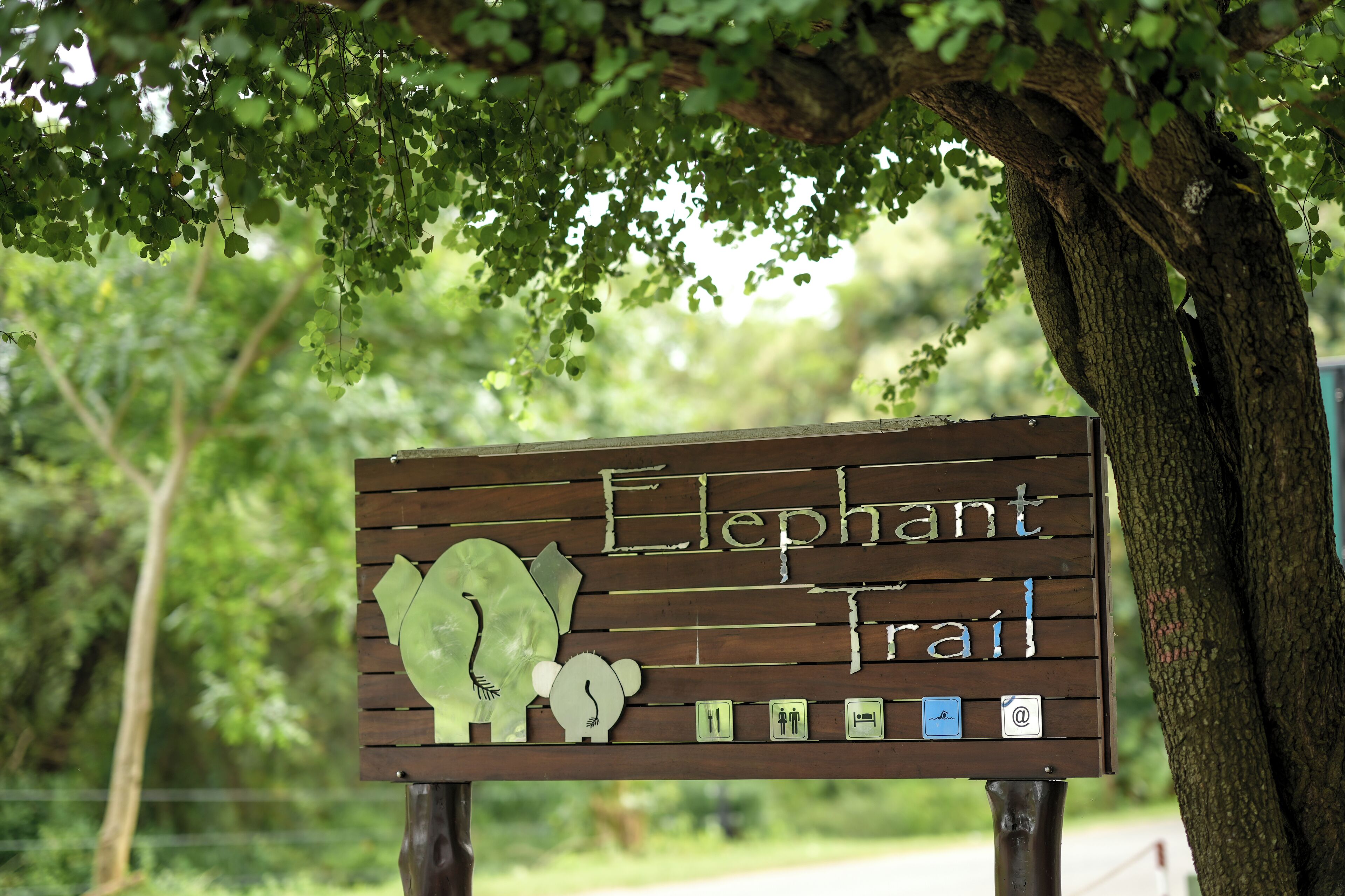 A wooden sign with the text "Elephant Trail" and symbols indicating amenities like restrooms and picnic areas.