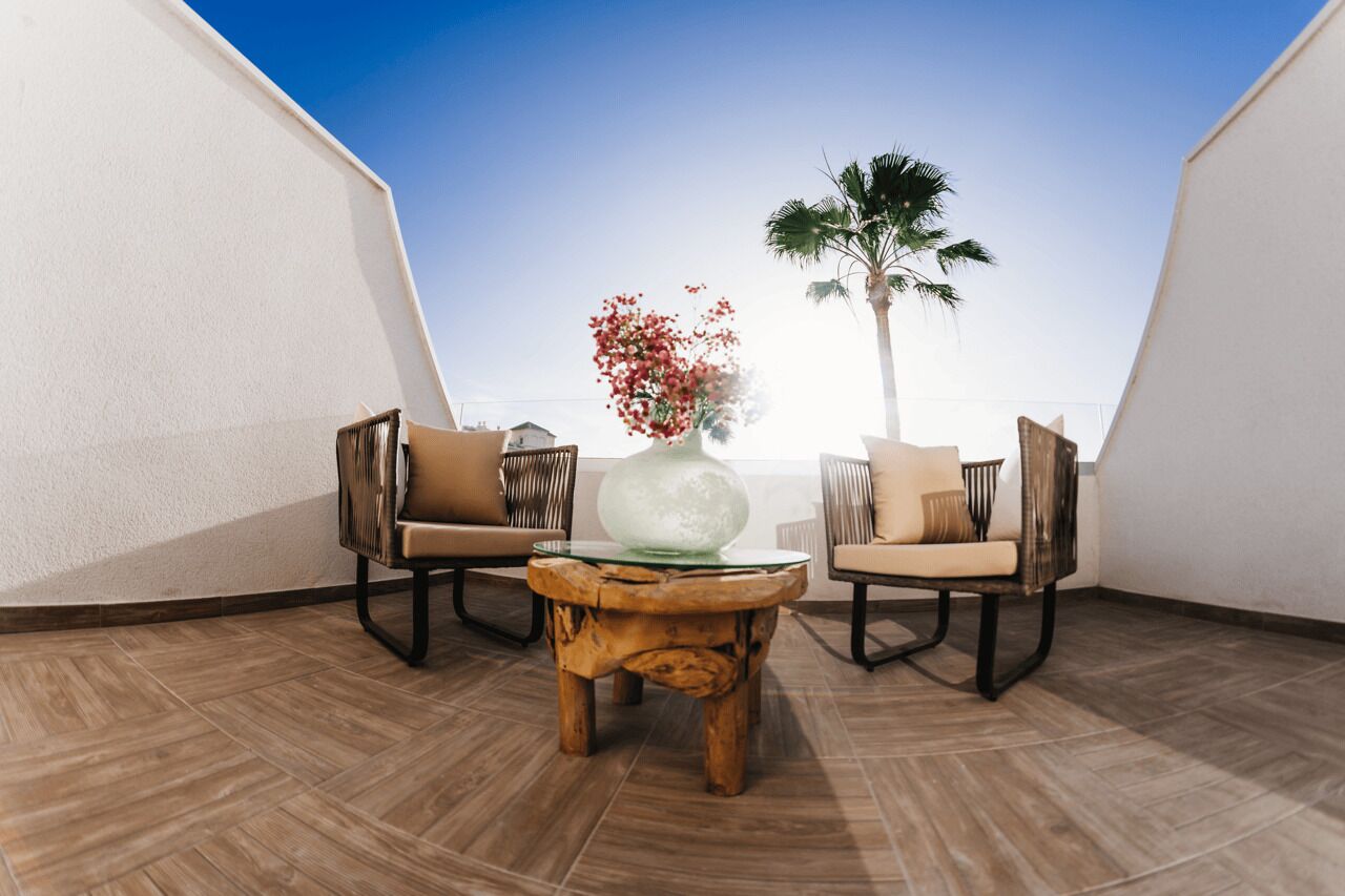 A room with two chairs, a wooden coffee table, and a vase with flowers. A palm tree is visible outside the window.