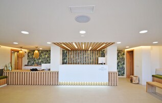 Zona de recepción con un mostrador de madera, una computadora y una pared con diseño de hojas.