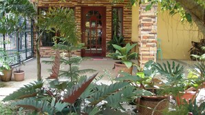 Un patio con plantas en macetas, un edificio de ladrillo con puerta de madera y un muro de piedra.