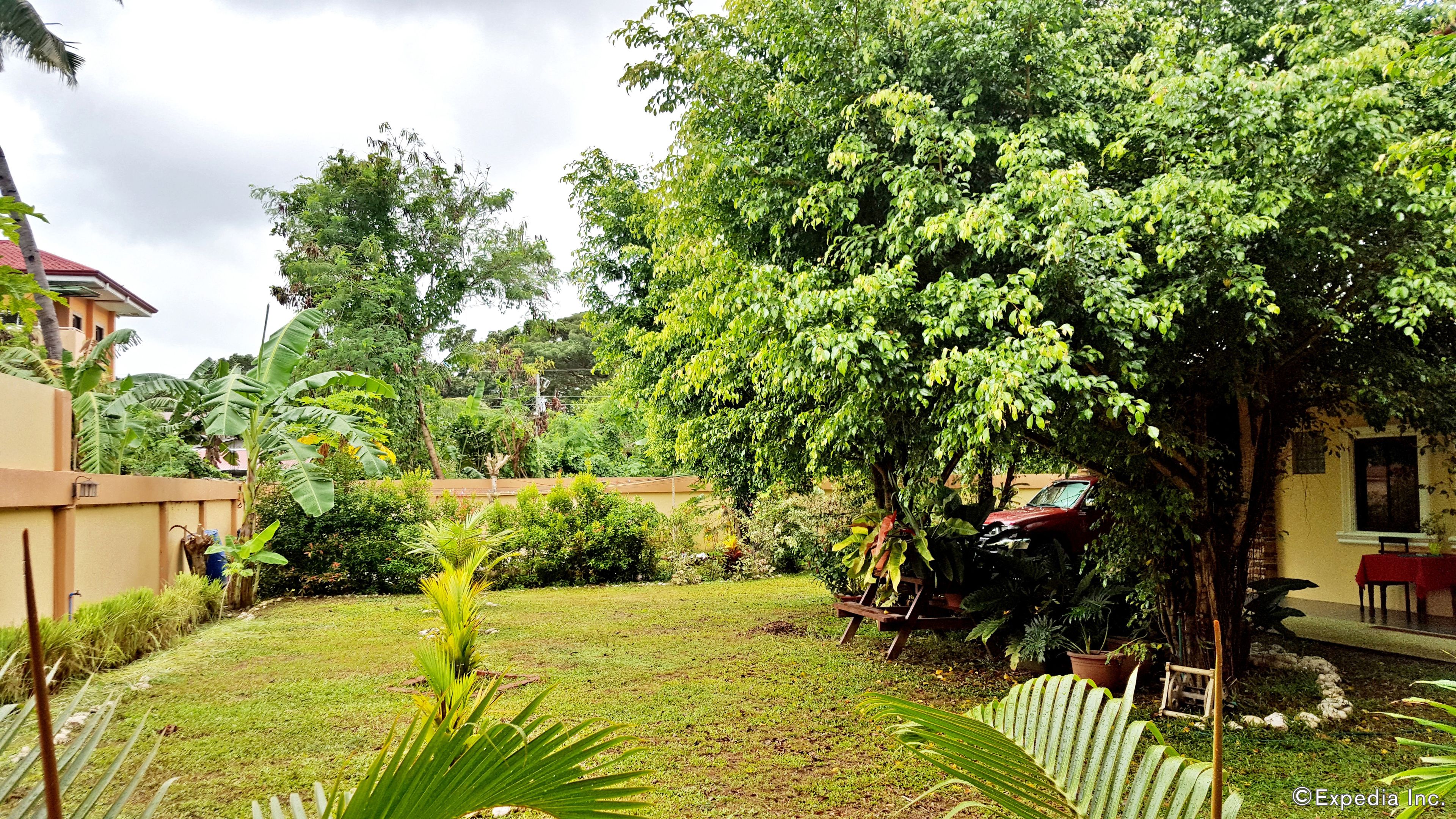 A lush garden with various plants and trees, a small lawn, and a red car parked near a building.