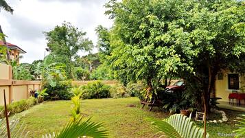 A lush garden with various plants and trees, a small lawn, and a red car parked near a building.