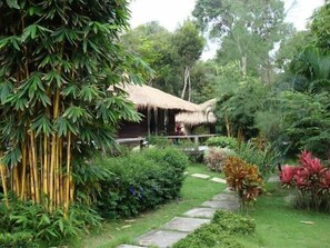 Uma cabana com telhado de palha cercada por vegetação exuberante e um caminho de pedra.