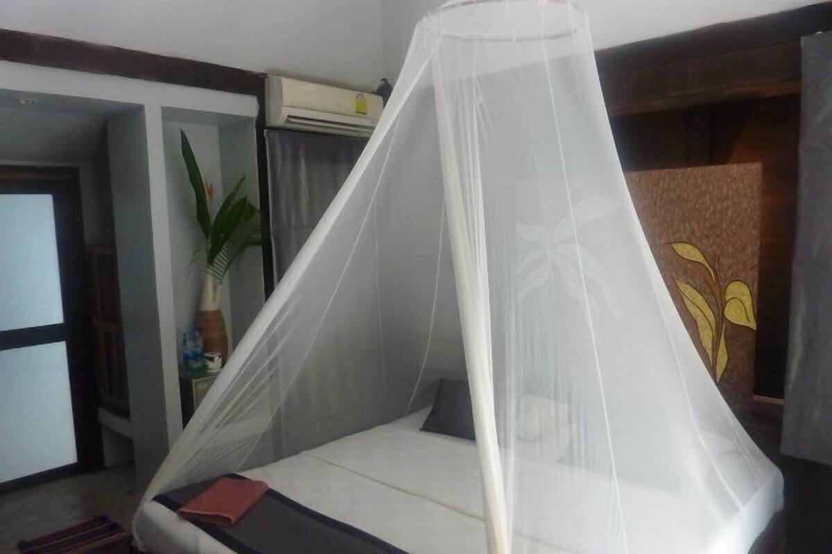 A single bed with a mosquito net, a potted plant, and a wall-mounted air conditioner.