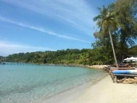 Una playa con agua cristalina, una palmera y un área de descanso con sombrillas.