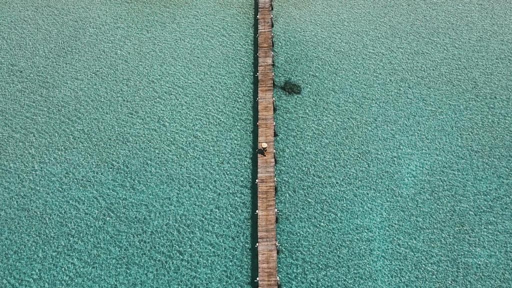 Une longue structure étroite en bois qui s’étend dans une étendue d’eau.