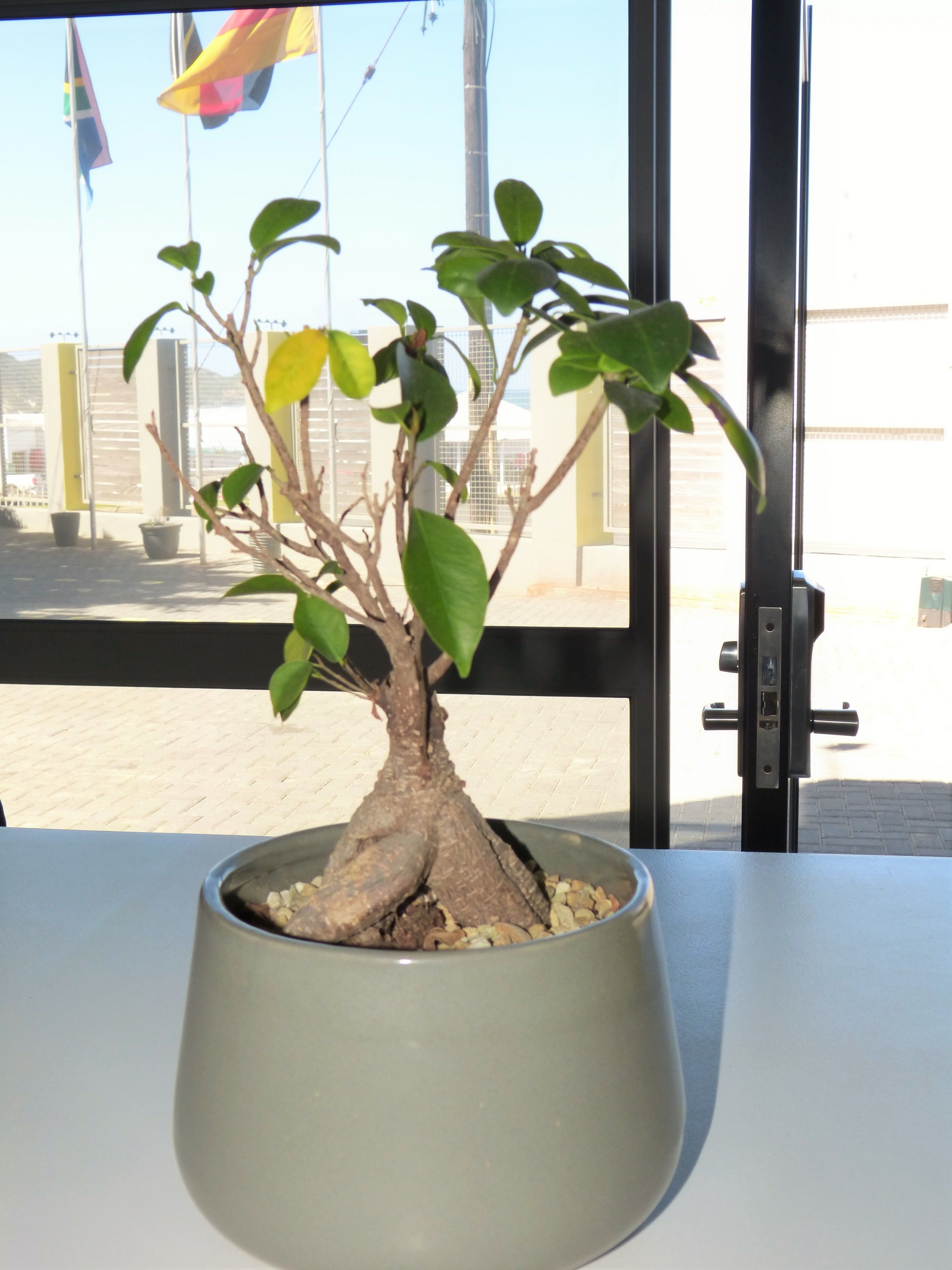 Entrada (vista interna)