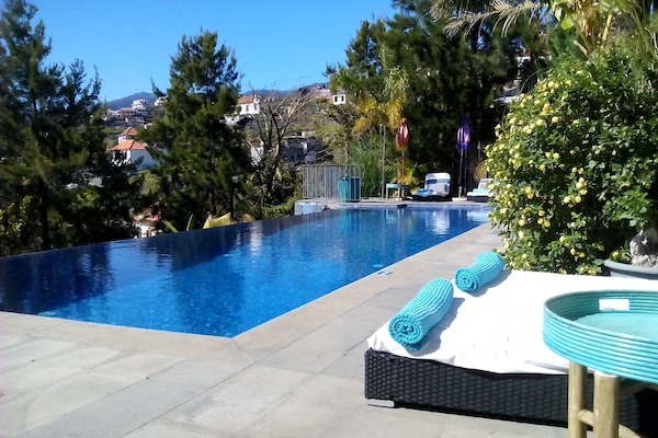 Outdoor pool, sun loungers